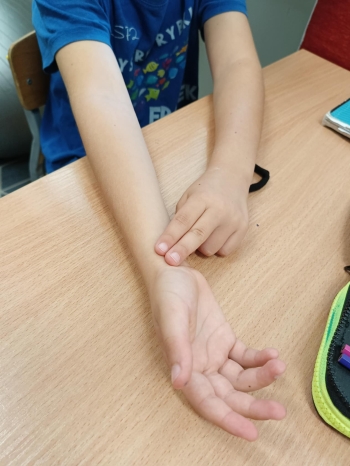 5b320240-d68b-4ea6-b36d-8d02c0941020