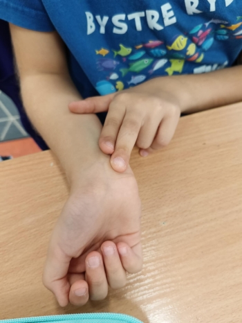 5d4dad37-b606-4fee-9d1f-2db0fad1a9c5