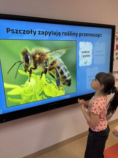 Dzień pszczoły