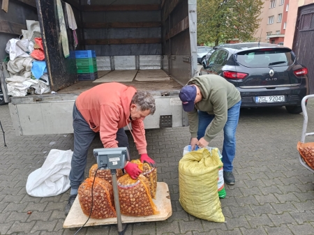 KASZTANY zebrane i sprzedane