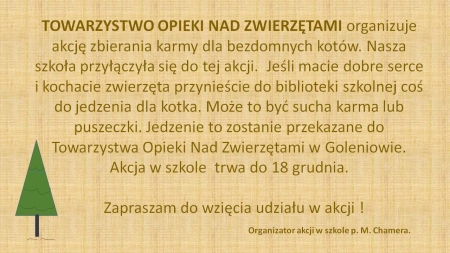 Zbiórka kociej karmy